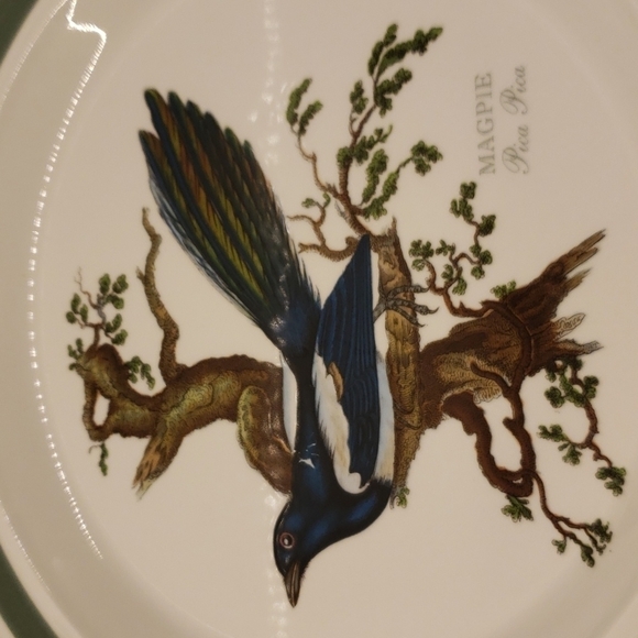 Portmeirion Birds of Britain Magpie Pica Pica Dinner Plate Green Band 1… - Picture 2 of 7